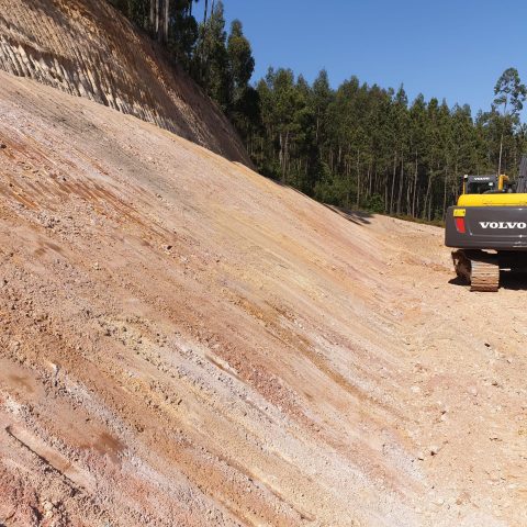 Terras Centro taludes verdasca mov